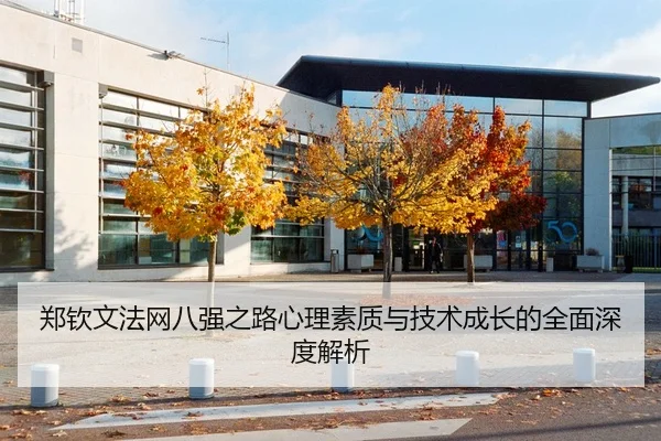 郑钦文法网八强之路心理素质与技术成长的全面深度解析